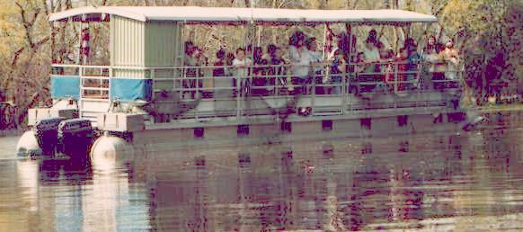 The Swamp Queen cruises quietly down Bayou Segnette just minutes from the sounds of Bourbon Street.