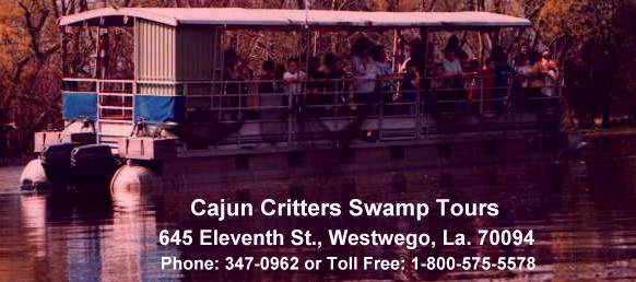 Cajun Critters Tours is located just outside New Orleans in Westwego, La.; our address is 645 11 th St. For more info, call us at 504-347-0962 or 504-341-7238. If calling within the USA, our toll free long distance number is 1-800-575-5578.